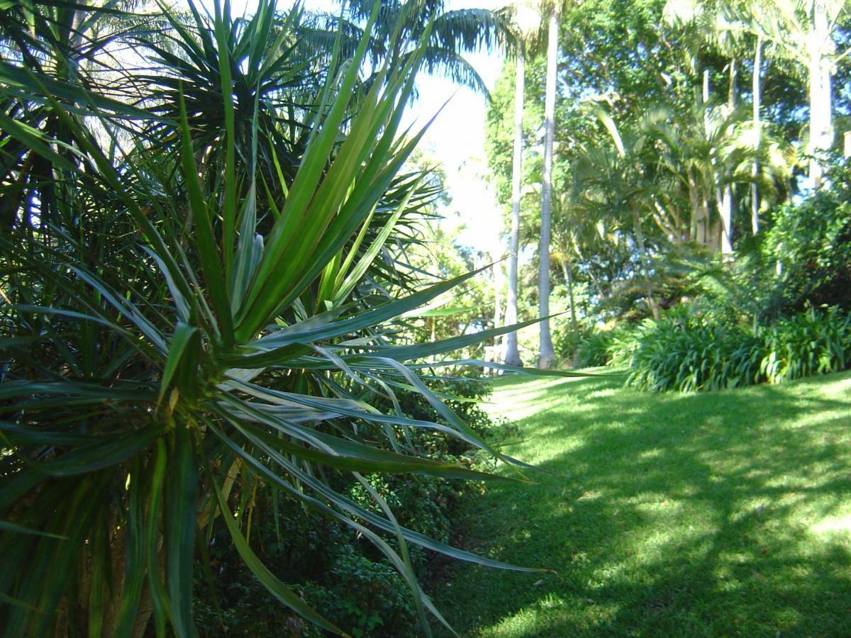 Sensom Boutique Bed And Breakfast Sapphire Beach Ngoại thất bức ảnh